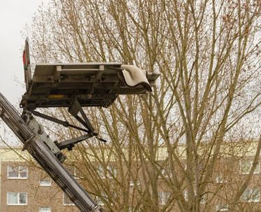 Möbellift in Cottbus: Möbellift zwischen kahlen Bäumen vor einem Gebäude