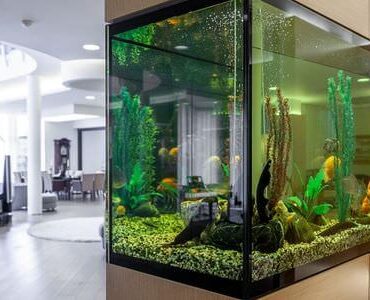 Aquarium-Umzug Cottbus: Großes Aquarium in einem modernen Wohnzimmer