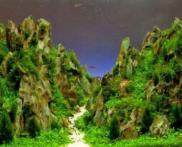 Aquarium-Umzug Cottbus: Aquarium mit Felslandschaft und Pflanzen