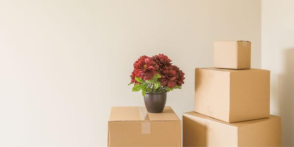 Umzugskarton und Blumenvase in einem leeren Raum